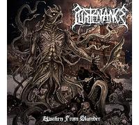 Purtenance - Awaken from Slumber