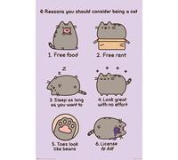 Pusheen Poster Ragioni 157, Compleanno, Natale Regalo Merchandise Ufficiale
