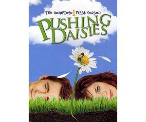 Pushing Daisies: Complete First Season (3 Dvd) [Edizione: Stati Uniti]