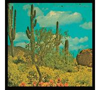 Puta Madre Brothers - It'S A Long Way To Meximotown