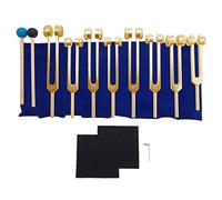 Puthernm Diapason, 7 Chakra + 1 Diapason Ponderato per L'Anima, Strumento in Lega di Alluminio 126,22-141,27 Hz ECC.