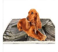 Puthernm Kit Modello Molecolare, Set di Molecolare, Kit Modello Elemento Atomico per Lezioni, Kit di Costruzione di Strutture