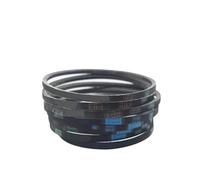 PUYEN 2 cinghie for lavatrice completamente automatica Z-460e Z-480e Z-474e Z-487e Z-445e(Z-460e-2pcs)