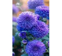 Puzzle 100 Pezzi, Puzzle per Adulti Crisantemo Blu 40x28 cm, Impossibile Difficile Puzzles Impegnativo Come Regalo e Decorazione per Pareti