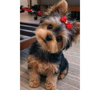 Puzzle 100 Pezzi, Puzzle per Adulti Cucciolo Carino 40x28 cm, Impossibile Difficile Puzzles Impegnativo Come Regalo e Decorazione per Pareti