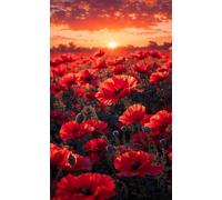 Puzzle 100 Pezzi, Puzzle per Adulti Tramonto Tra Papaveri Rossi 40x28 cm, Impossibile Difficile Puzzles Impegnativo Come Regalo e Decorazione per Pareti