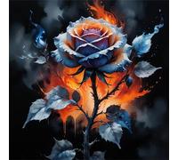 Puzzle 1000 Pezzi Adulti, Rosa della Notte Oscura puzzle per adulti 1000 pezzi 65x65cm, Creativo Giocattolo, Puzzles Giochi Intelligence per Familiare