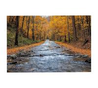 Puzzle 1000 Pezzi Autunno, Puzzle Foresta Puzzles in Legno Dimensione Di 75x50cm, Classici Sfide Divertenti Intrattenimento Creativo, Divertimento Confezione di Alta Qualità Regalo Uomo e Donna -1894