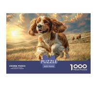 Puzzle 1000 Pezzi Cani Domestici per Adulti e Bambini - Spaniel al Tramonto Sfida Educativa Decorazione Murale Pareti 70x50cm