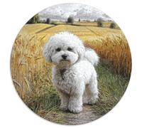 Puzzle 1000 Pezzi Carino Cane Animali - Multicolore, Senza Spigoli, Regalo Bambina E Bambino, Relax, 1000pcs (67.5x67.5cm)