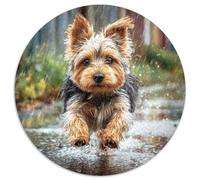 Puzzle 1000 Pezzi Carino cane da compagnia Animali - Multicolore, Puzzle Arte, Relax Ufficio, Senza Tossine, 1000pcs (67.5x67.5cm)