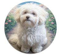 Puzzle 1000 Pezzi Carino cane da compagnia Animali - Senza Spigoli, Idea Regalo Per Lei O Lui, HD, Materiali Durabili, 1000pcs (67.5x67.5cm)