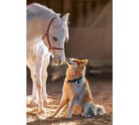 Puzzle 1000 pezzi Cavallo e cane - un’amicizia unica