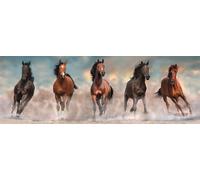 Puzzle 1000 Pezzi Compatto Panorama Cavalli
