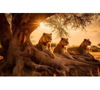 Puzzle 1000 Pezzi, Famiglia Di Leoni Sotto Un Albero A Savannah Puzzle Classici Di Legno 75X50Cm