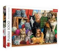 Puzzle 1000 pezzi gatti 1 St