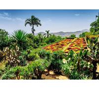 Puzzle 1000 pezzi giardino botanico Madeira Portogallo RAVENSBURGER