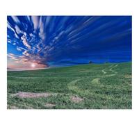 Puzzle 1000 Pezzi Giochi Educativo e Giocattoli Sfida -Campo,orizzonte,cielo 70x50cm