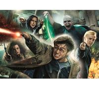 Puzzle 1000 pezzi Harry Potter Compact
