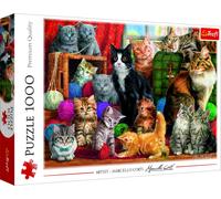 Puzzle Incontro di Gatti 1000 Pezzi