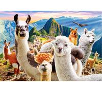 Castorland - Puzzle Selfie di lama - 1000 Pezzi