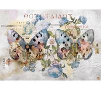 Puzzle 1000 pezzi - Metamorfosi, Ali n. 2 - Andre Sanchez
