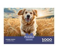 Puzzle 1000 Pezzi per Adulti Cani Domestici - Golden Retriever nel Campo di Grano Gioco Complesso Idea Regalo Decorazione Pareti 70x50cm