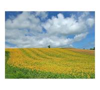 Puzzle 1000 Pezzi per Adulti e Ragazzi-Campo,cultura,economia 70x50cm