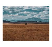 Puzzle 1000 Pezzi per Adulti e Ragazzi-Campo,orizzonte,albero 70x50cm