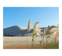 Puzzle 1000 Pezzi per Adulti e Ragazzi-Deserto,Oasi,Sabbia,Canne,Pianta,Colline,Natura 70x50cm