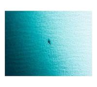 Puzzle 1000 Pezzi per Adulti e Ragazzi-Pesce,acqua,vista aerea 70x50cm
