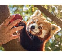 Puzzle 1000 Pezzi, Piccolo Panda Carino 3D Puzzle per Adulti Impegnativo, Educa Puzzles Artistico, Divertente E Stimolante Puzzles Decorativo per La Famiglia, Come Regalo e Decorazione Pareti R6KH-888