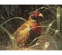 Puzzle 1000 Pezzi, Pollo Erba 3D Puzzle per Adulti Impegnativo, Educa Puzzles Artistico, Divertente E Stimolante Puzzles Decorativo per La Famiglia, Come Regalo e Decorazione Pareti R6KH-455