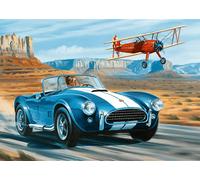 Puzzle 1000 Pezzi Premium Plus Deserto in Corsa