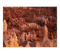 Puzzle 1000 Pezzi Regalo Jigsaw Puzzle Classici -Canyon,parco nazionale,vegetazione 70x50cm