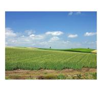 Puzzle 1000 Pezzi Regalo Jigsaw Puzzle Classici -Giappone,Campo,Cultura,Economia 70x50cm