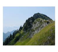 Puzzle 1000 Pezzi Regalo Jigsaw Puzzle Classici -Montagna,Pendio,Alberi,Natura,Paesaggio 70x50cm