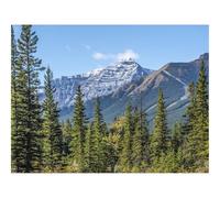 Puzzle 1000 Pezzi Regalo Jigsaw Puzzle Classici -Montagne,Abete,Alberi,Lago,Riflesso,Cielo 70x50cm