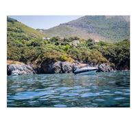 Puzzle 1000 Pezzi Regalo per Adulti e Bambini da 14 anni e Più-Yacht,Baia,Mare,Alberi,Montagne 70x50cm