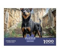 Puzzle 1000 pezzi, Samoiedo in vicolo italiano, decorazione interna raffinata per grandi e piccoli 70x50cm