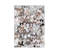 Puzzle 1000 Pieces. Adult Puzzle Cat. Puzzle Casual Game