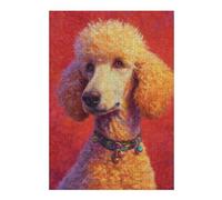 Puzzle 1000pcs(38x26cm) Per Adolescenti Fluffy Poodle with Red Background Puzzle Divertenti Per Adolescenti, Giochi Che Migliorano La Memoria, Regali Per Amici E Familiari 1000pcs(38x26cm)