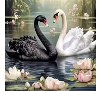 Puzzle 150 Pezzi Cigno nero, puzzle per Adulti 150 pezzi 65x65cm, Puzzles Giochi Rilassamento e Intelligence, puzzles Classici per Gioco Familiare, Festa Aziendale, Regalo Natale