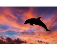 Puzzle 150 Pezzi Delfini Cielo, Puzzle Giocattolo Decompressivo Intellettuale Educativo Divertente Gioco per Famiglie, Puzzles per Adulti 150 Pezzi 35 x 25 cm