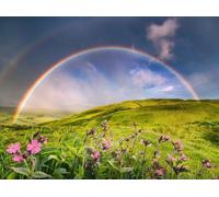 Puzzle 1500 pezzi Arcobaleno sopra il prato