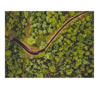 Puzzle 1500 Pezzi Idea Regalo uomo e uonna -foreste,vista aerea,fiume 87x57cm