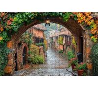 Puzzle 1500 Pezzi Vista Stradale Puzzle 1500 Pezzi Legno per Adulti Piccola Città, Splendidamente Confezionato in Una Scatola di Cartone, Borsa Rete Portabilità per Regalo Donna 60x90 cm RXPT-2968