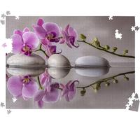 Puzzle 1500P Pezzi, Puzzle Classici 34.3 x 22.4 in orchidea pianta-2 l0-347 | Puzzle Giochi Rilassamento e Intelligence, Puzzle per Gioco Familiare, Festa Aziendale, Regalo per Amore e Amico