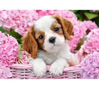 Puzzle 180 pezzi Cucciolo tra fiori rosa