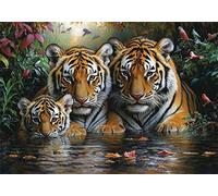 Puzzle 200 Pieces Tigre Bambina Bambino 10 8 9 6 5 7 Anni Regalo Maschio Adulti Legno Foresta Puzzle Arte Giochi Gioco di QI Ragazzo Grandi Dimensioni 35x25cm,200pcs Regalo Toy, Scatola P-952